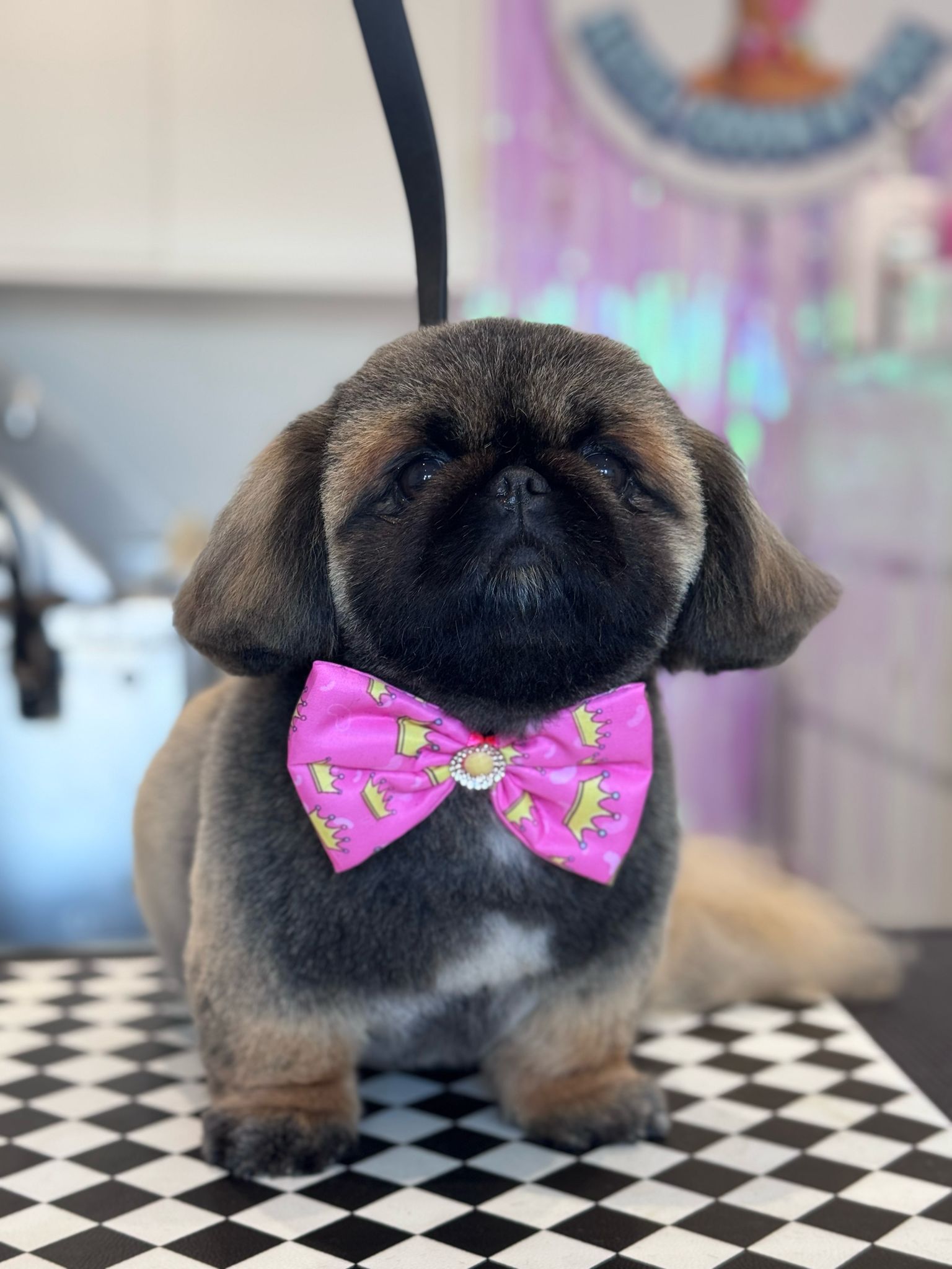 WhatsApp Image 2025-11-09 at 14.50.21 (1)