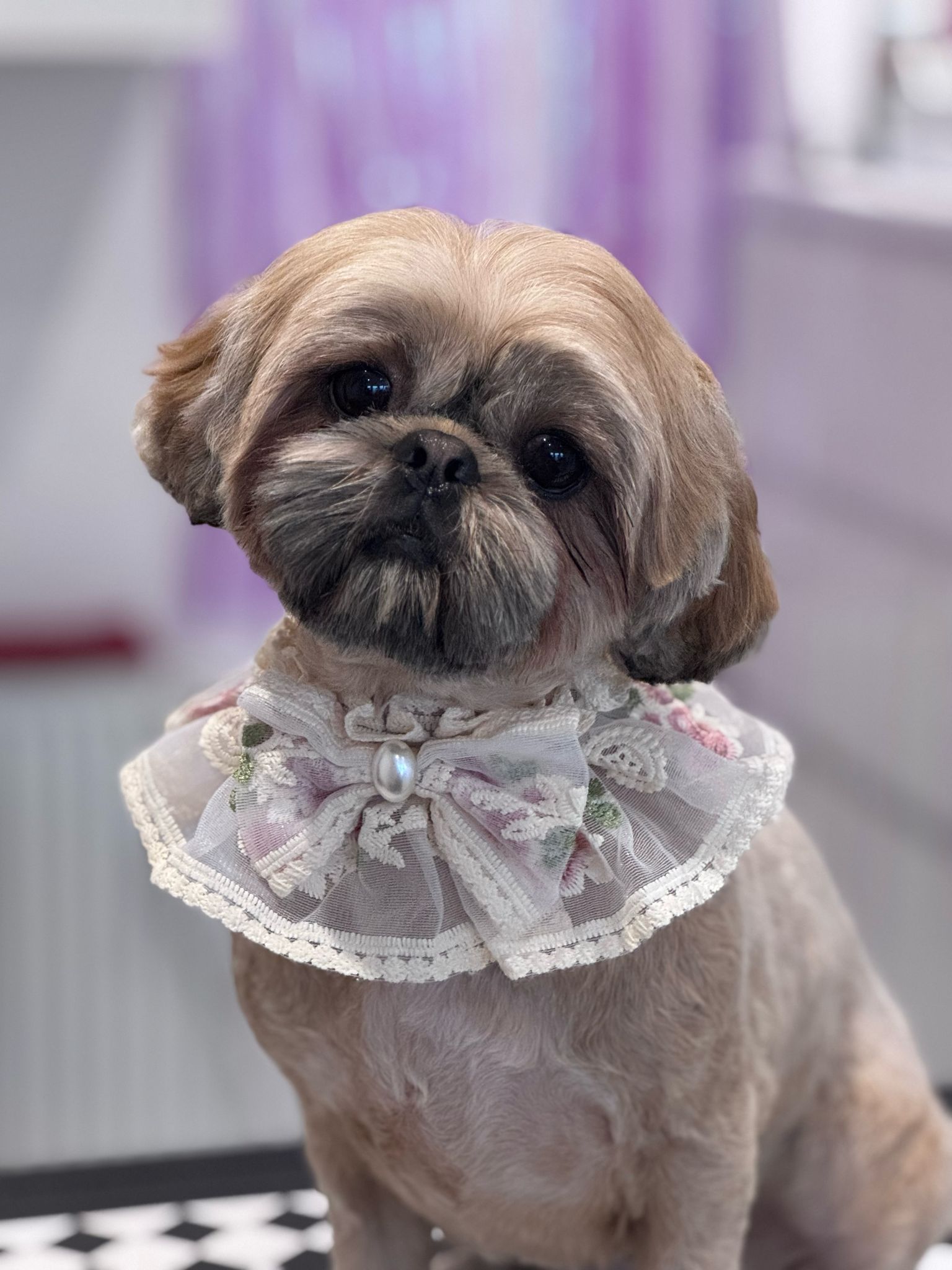 WhatsApp Image 2025-11-09 at 14.50.21