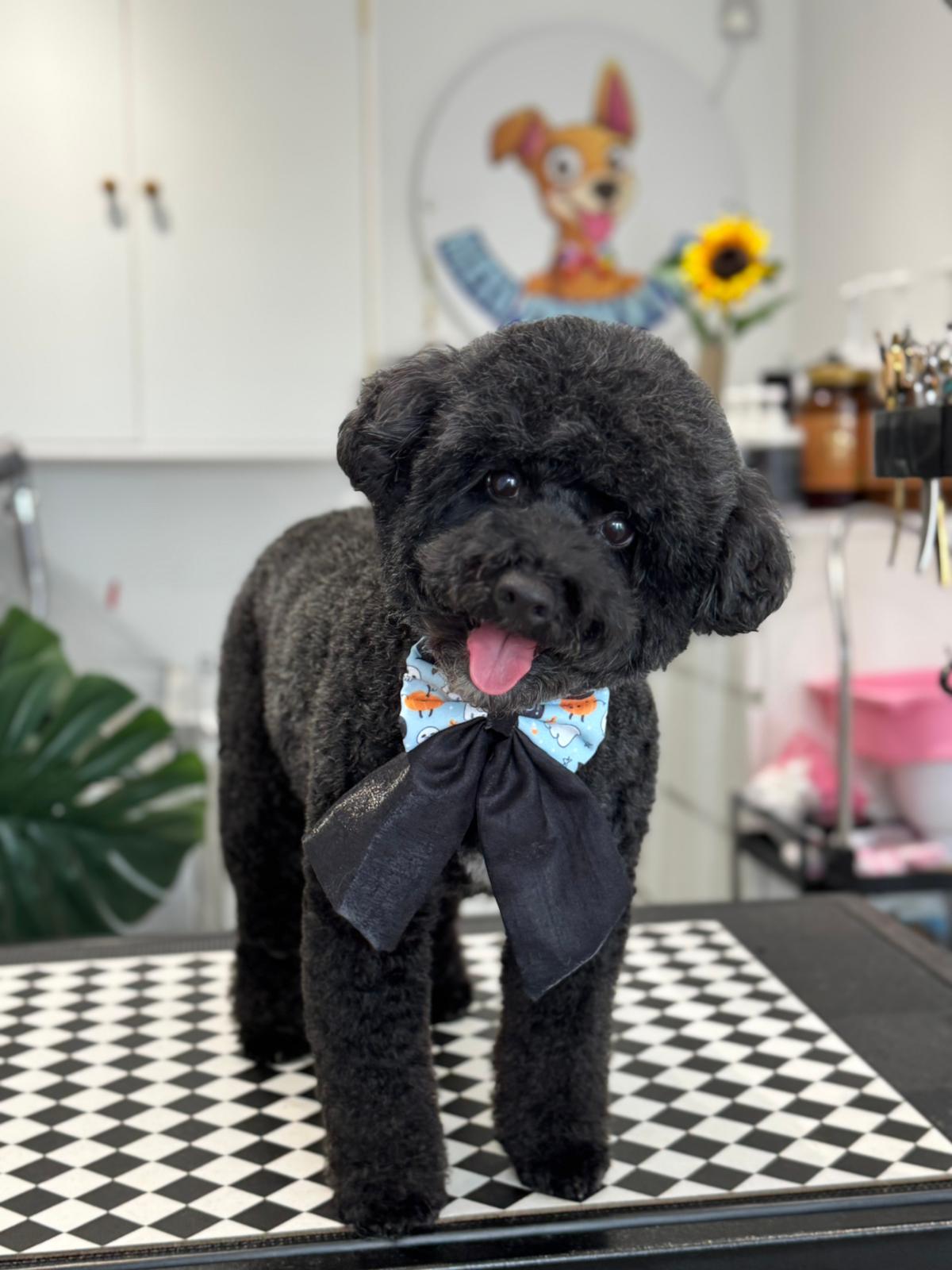 WhatsApp Image 2025-11-09 at 15.09.58 (1)