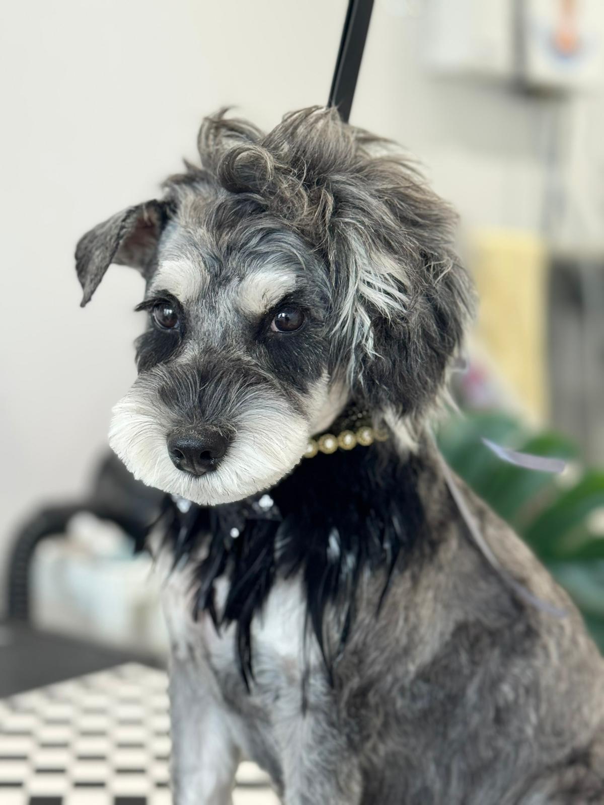 WhatsApp Image 2025-11-09 at 15.10.09 (1)