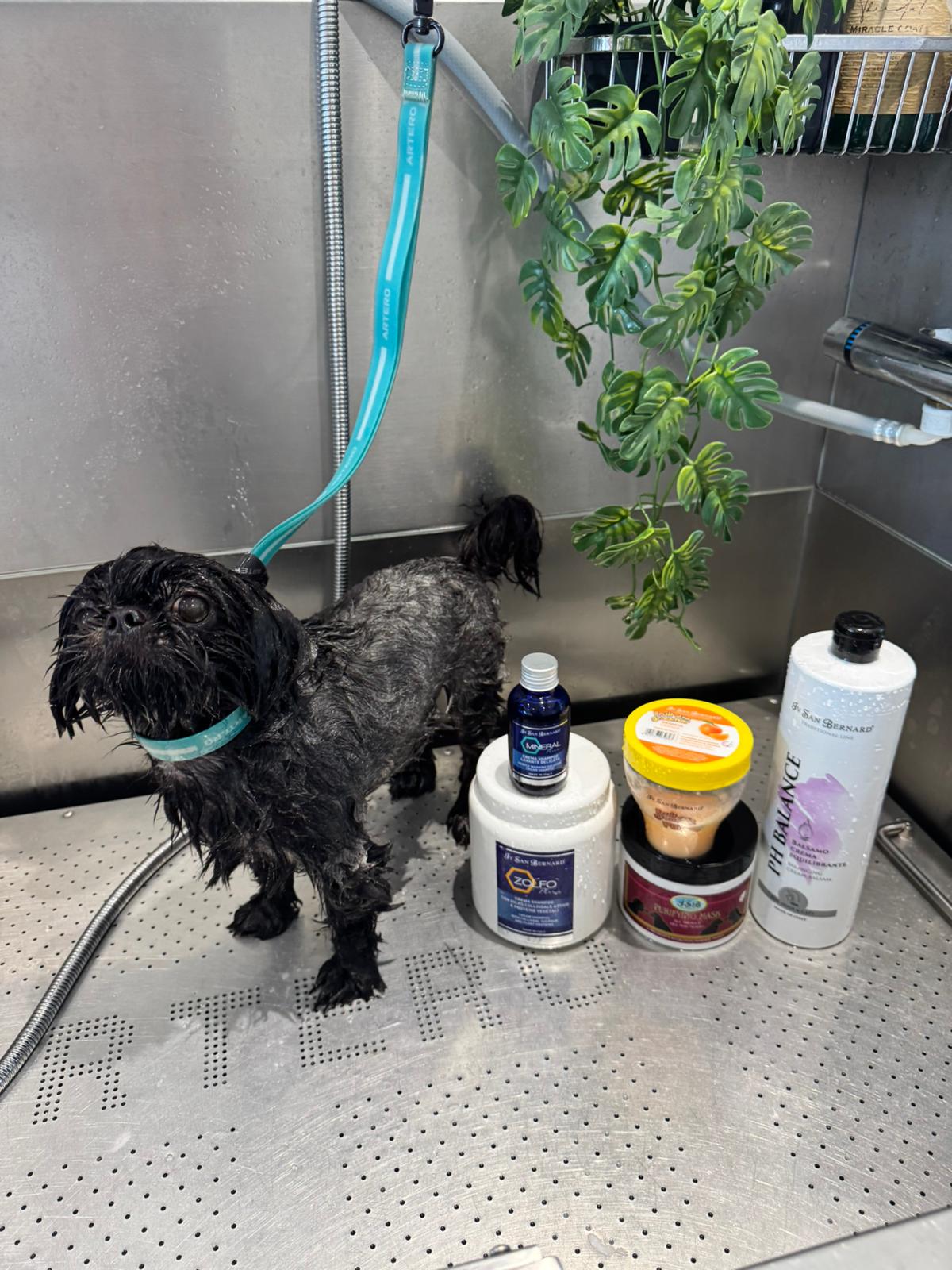 WhatsApp Image 2025-11-09 at 15.10.09 (4)