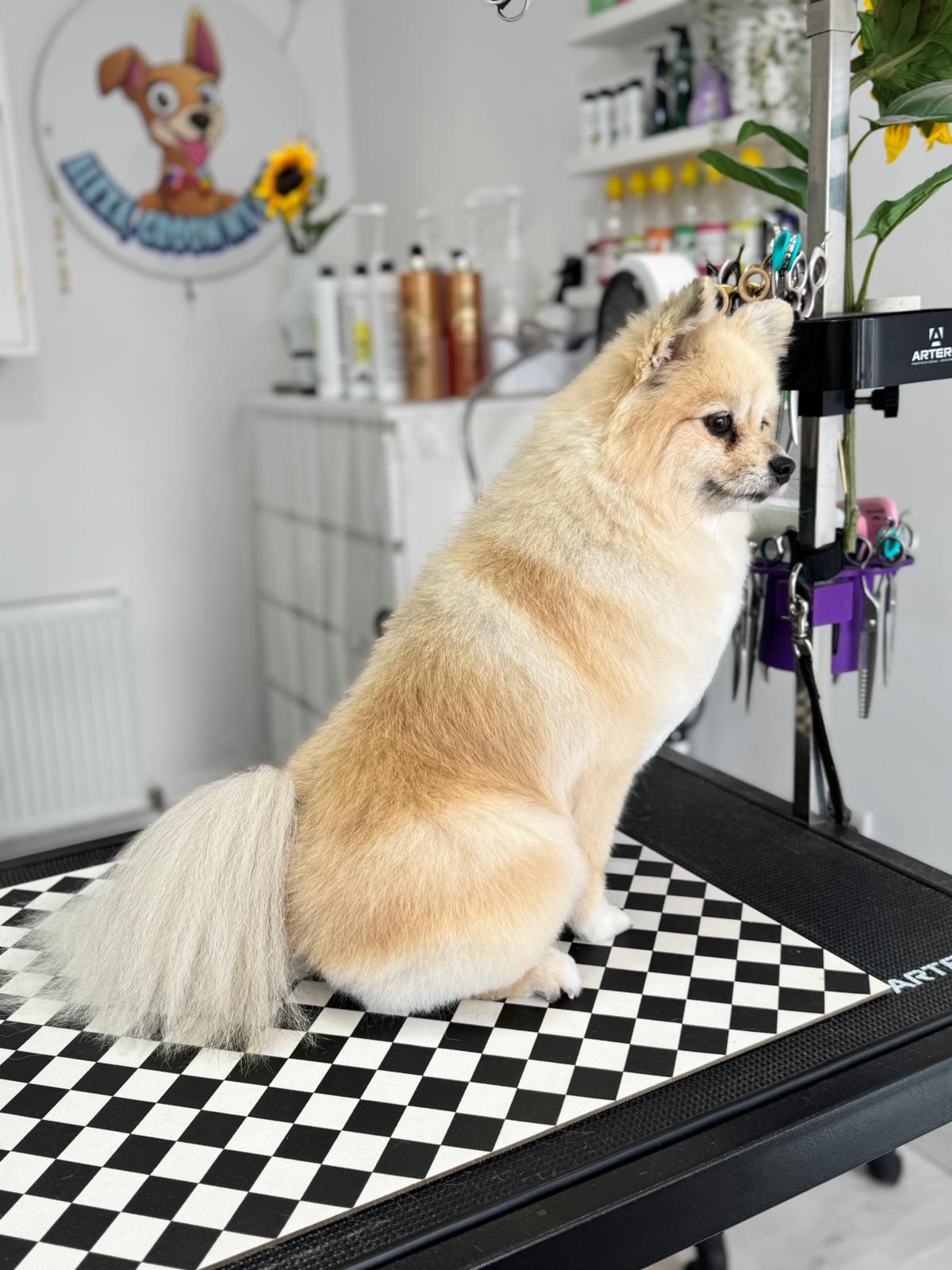 WhatsApp Image 2025-11-09 at 15.10.10