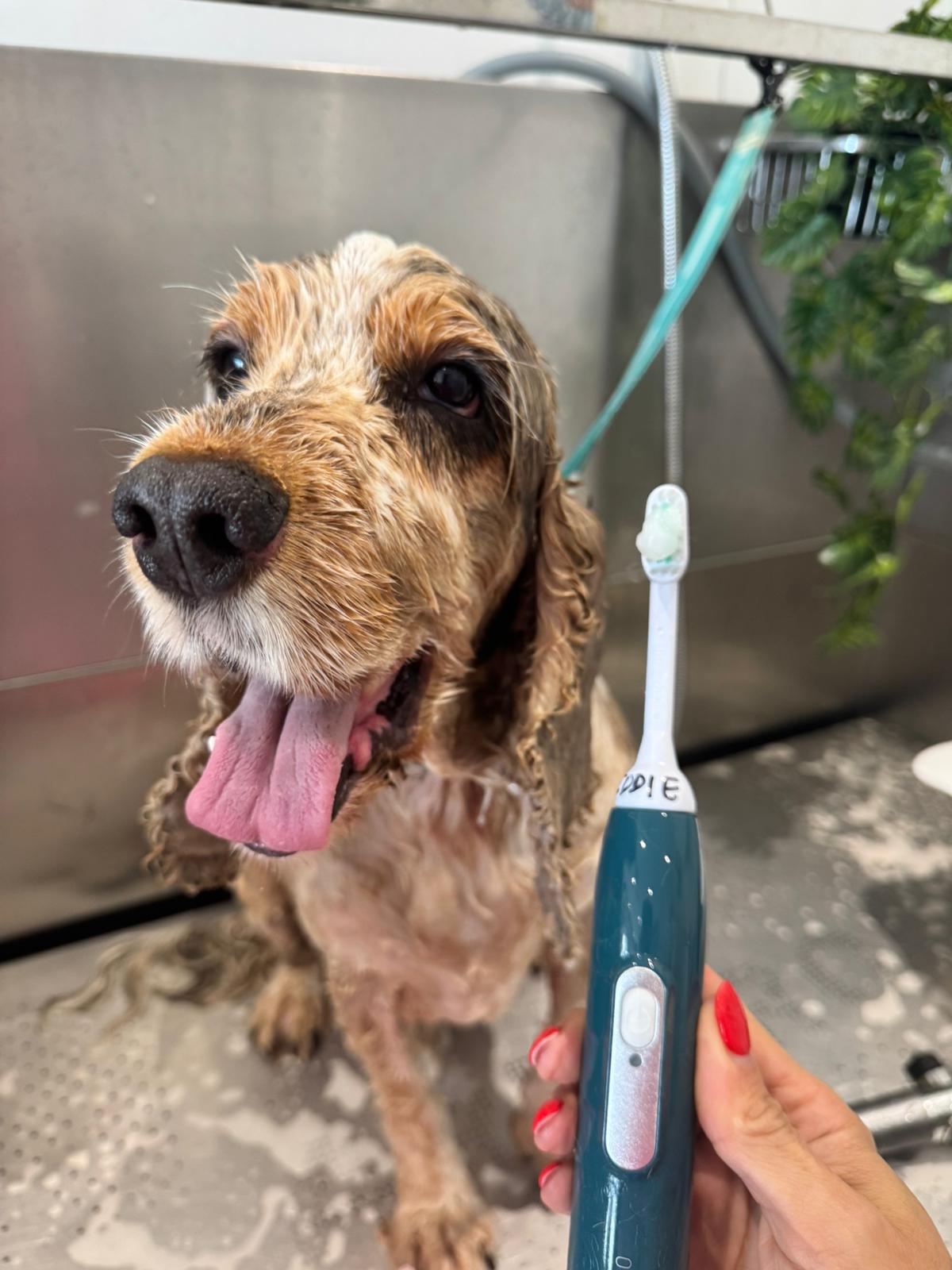 WhatsApp Image 2025-11-09 at 15.10.13