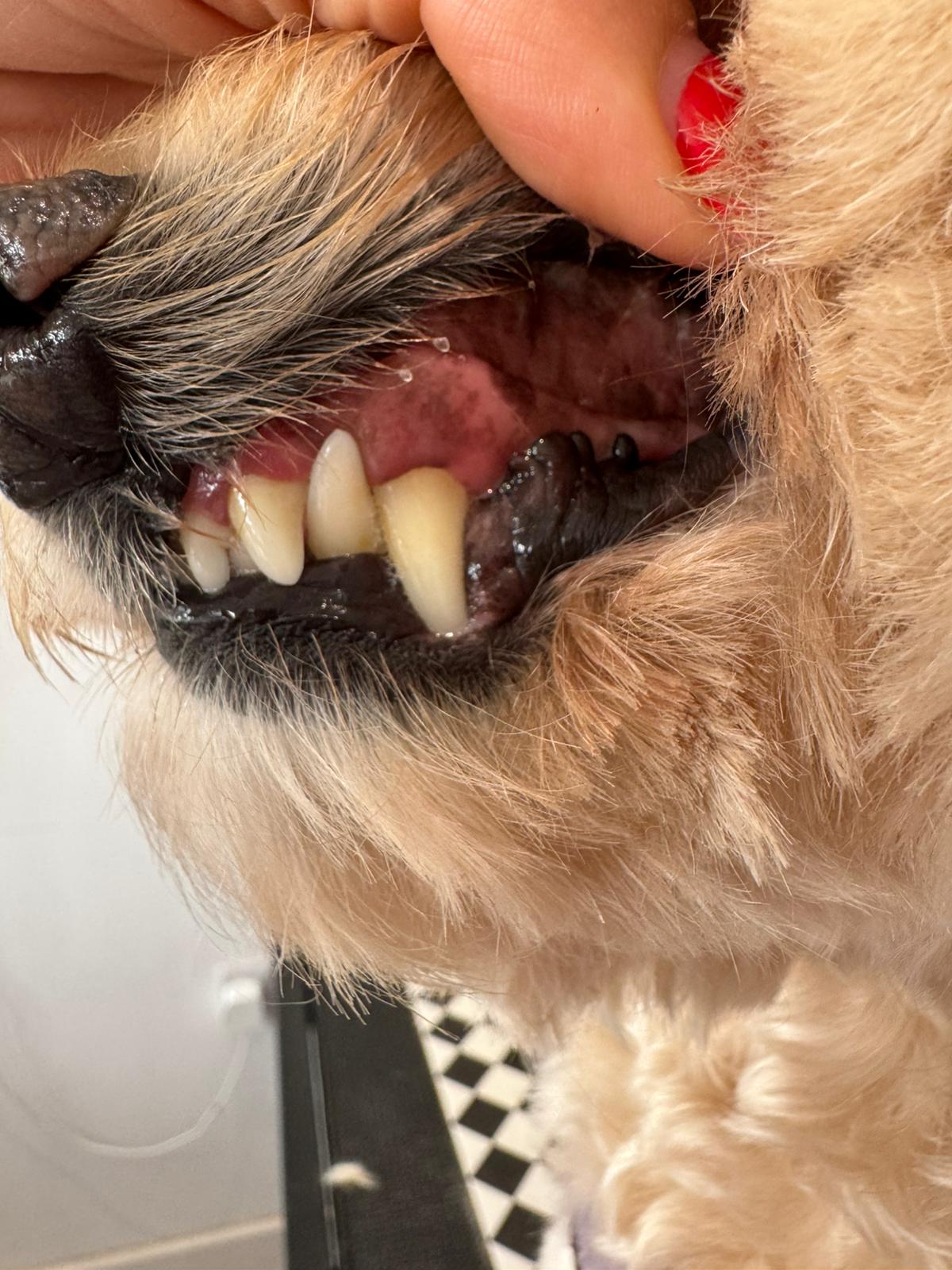 WhatsApp Image 2025-11-09 at 15.10.14 (1)