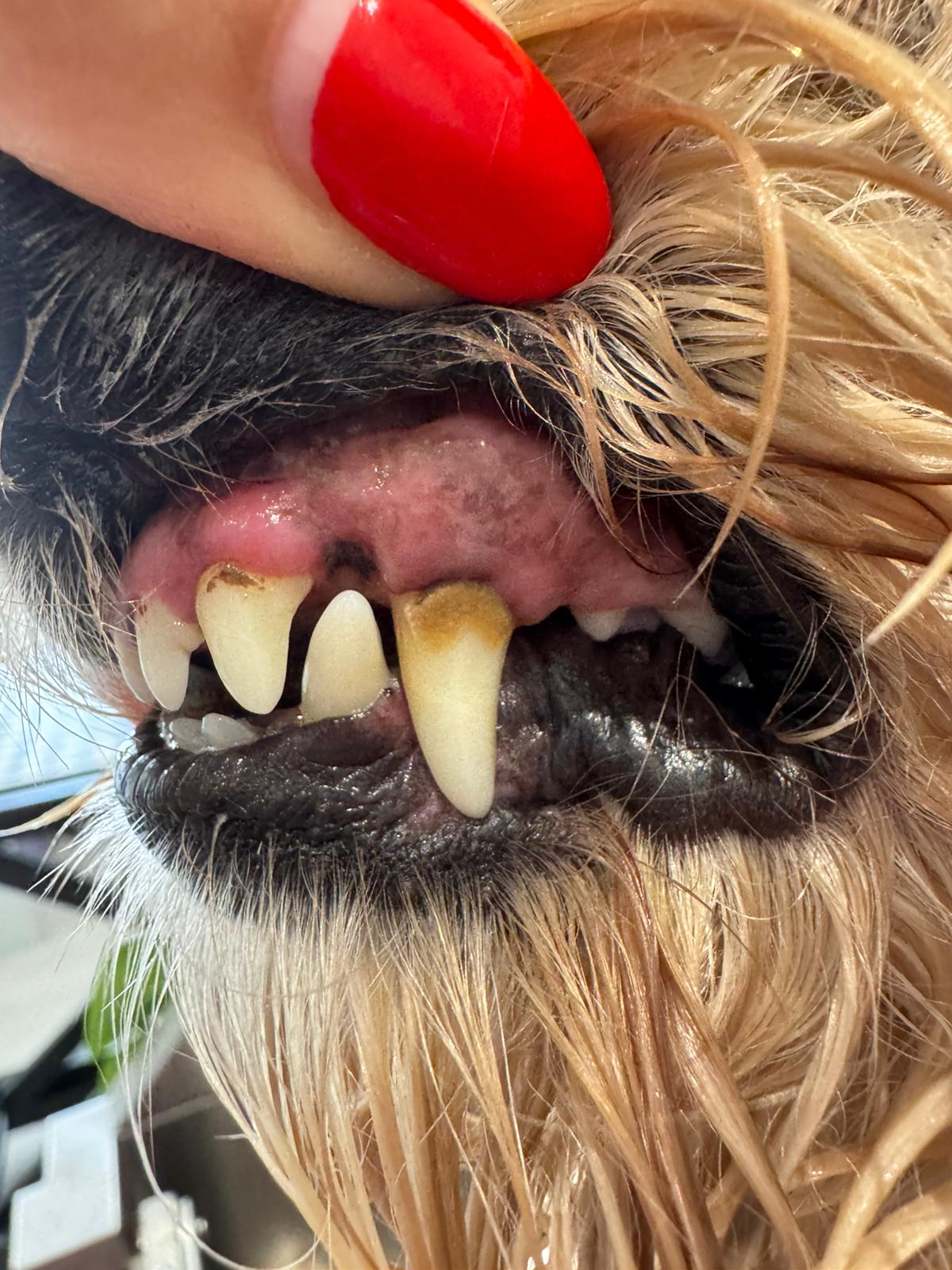 WhatsApp Image 2025-11-09 at 15.10.14