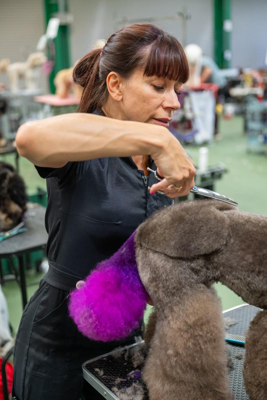 WhatsApp Image 2025-11-09 at 15.10.30 (1)