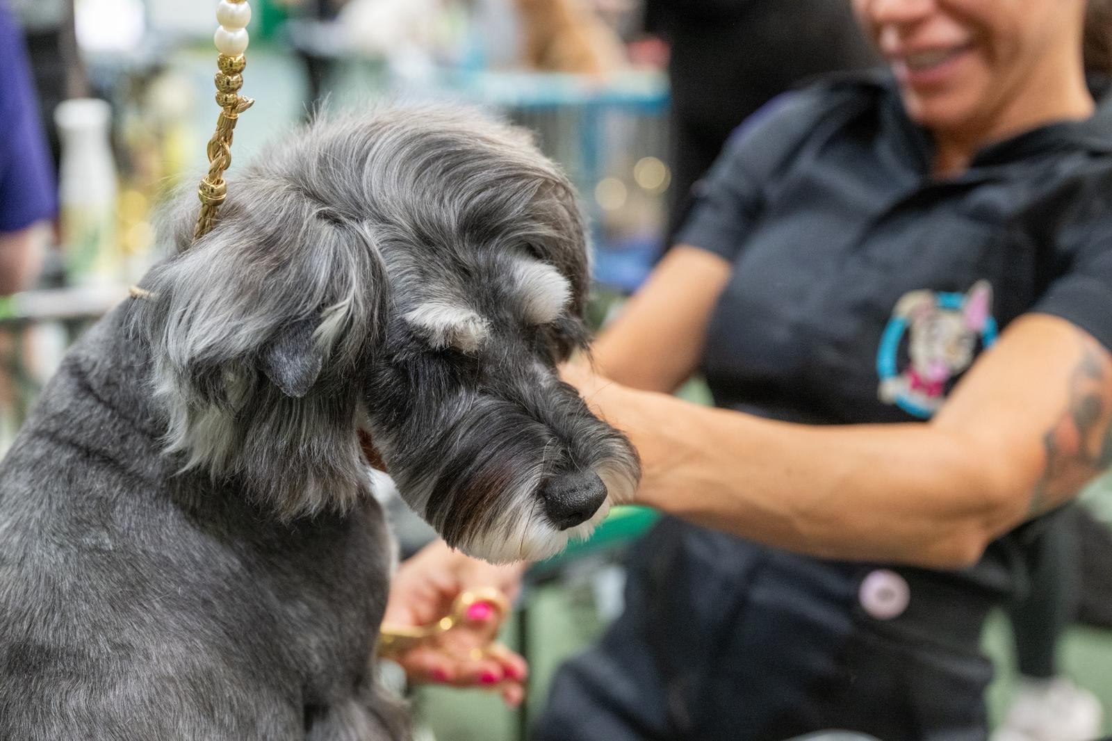 WhatsApp Image 2025-11-09 at 15.10.30 (2)