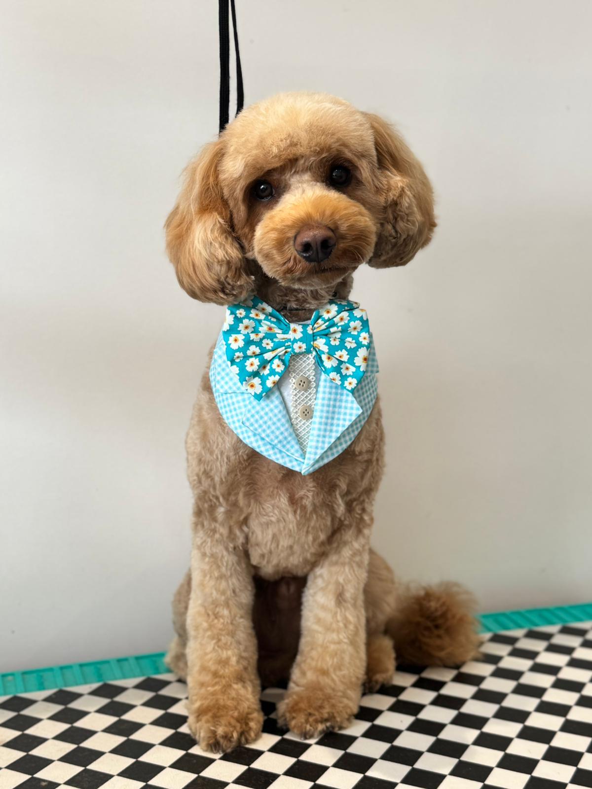 WhatsApp Image 2025-11-09 at 15.10.30 (3)