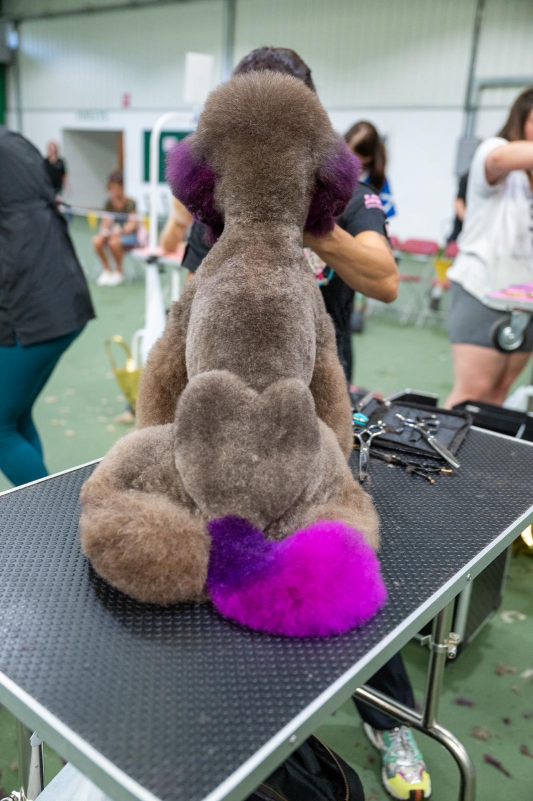 WhatsApp Image 2025-11-09 at 15.10.30