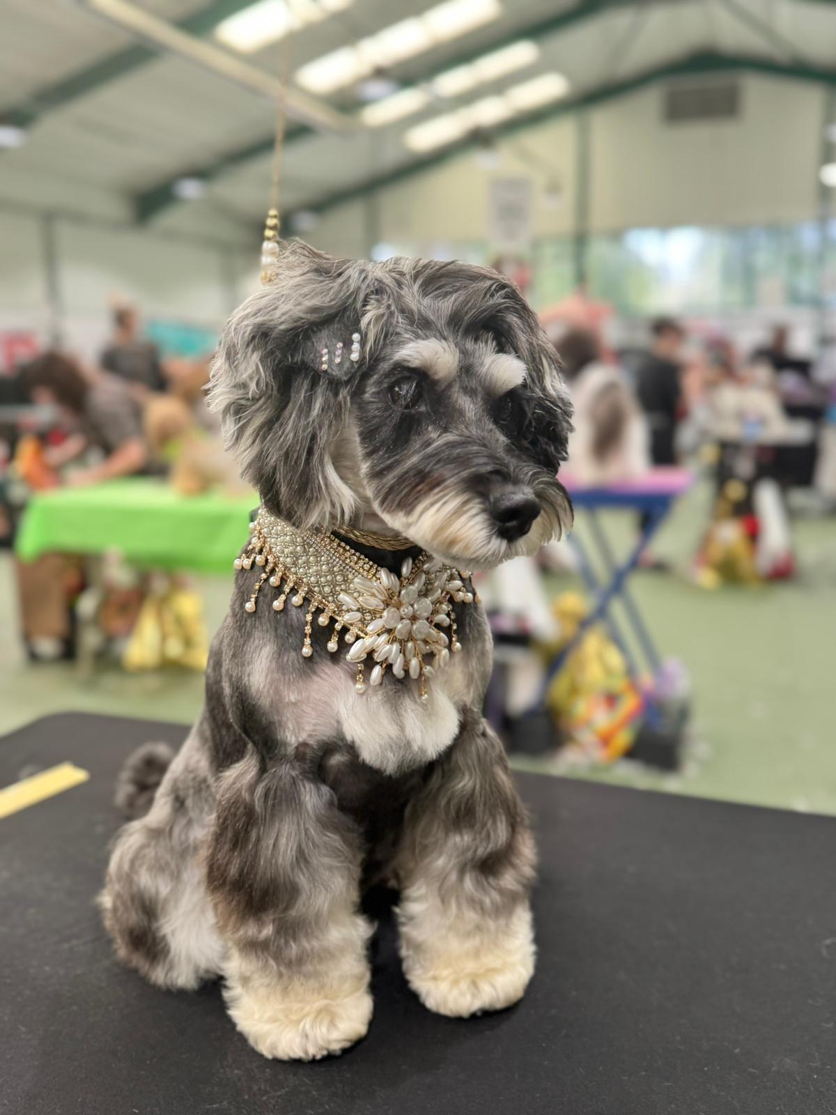 WhatsApp Image 2025-11-09 at 15.10.31 (1)