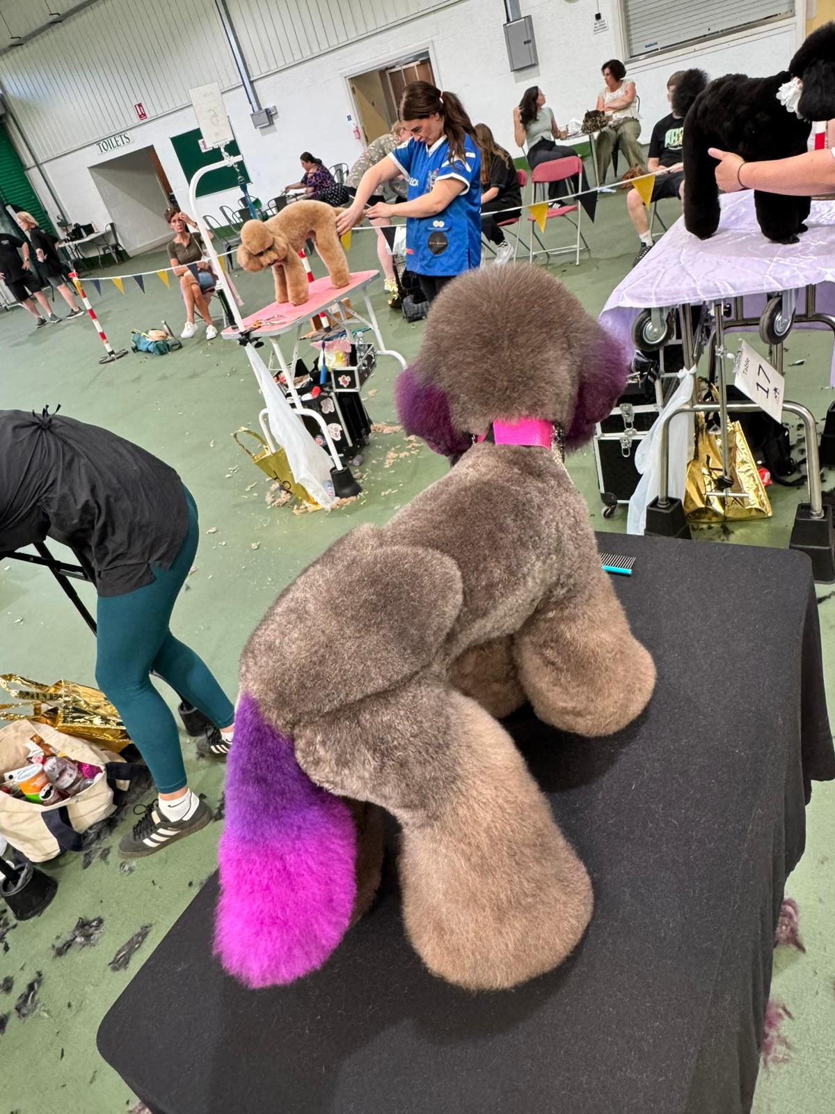 WhatsApp Image 2025-11-09 at 15.10.31